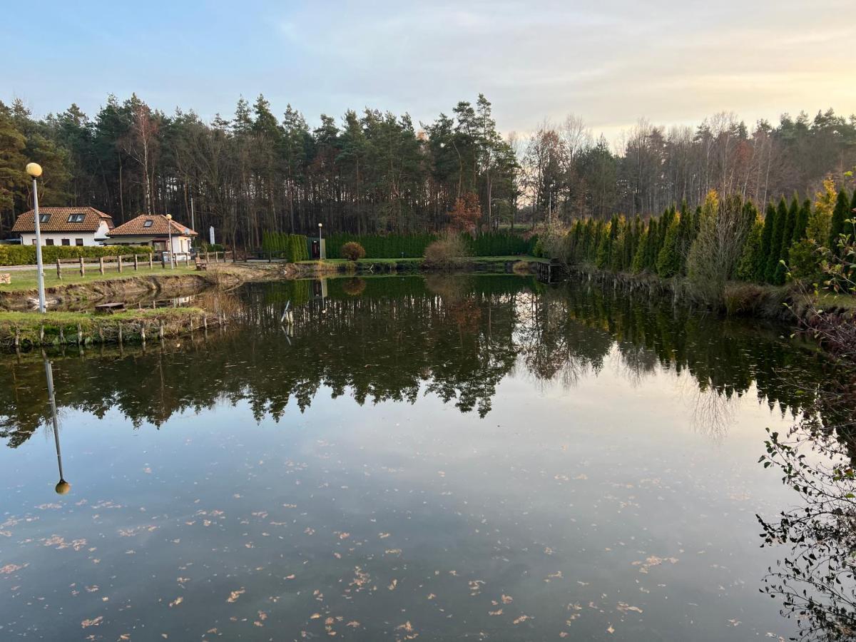 Hotel Rybaczowka Golub-Dobrzyń Esterno foto